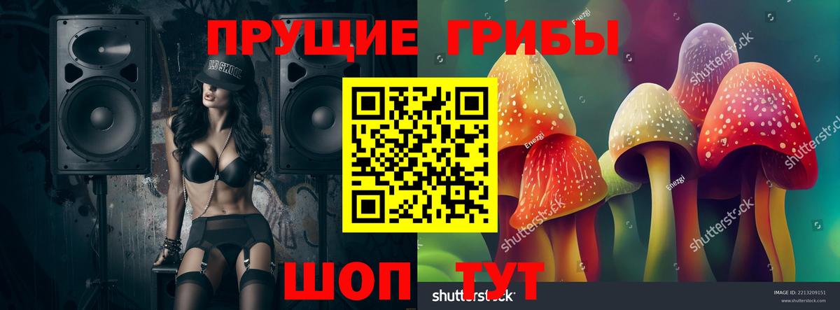 закладки  Псилоцибиновые грибы Psilocybine cubensis  Борзя  Вход с VPN  Псилоцибиновые грибы мицелий 