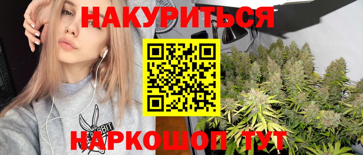 Шишки марихуана план  Вход с VPN  Шишки марихуана Bruce Banner  Борзя 